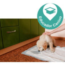Fralda Cachorro Gato Pet Confortpad 60x55 30und Super Oferta